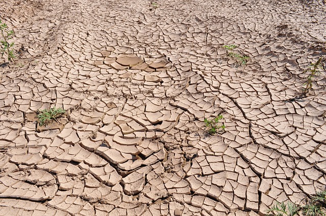 Co je příčinou současných změn klimatu